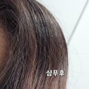 행복별 주식회사 네이버블로그