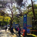 고샅 | 100. 장태산자연휴양림 야영장 가을 캠핑 후기 A 구역 3번