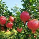 엘림양로원 이미지