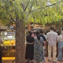 한옥에 반하다 | [내돈내산] 익선동 &lt;온지심&gt; 방문 후기 – 베이글과 분위기에 반하다