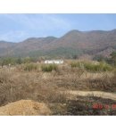 충남조경 Daum카페
