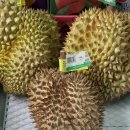 🥭 👉 두리안을 당장 먹어야 하는 진짜 이유