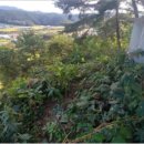 청일파출소 이미지