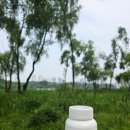 고함량 프로폴리스 추천 헬스오션 프로폴리스 3200mg