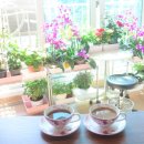 도토리 정원 이미지