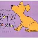 보림상회