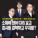 윤석열 수사외압 특검법 더 세졌다 이미지