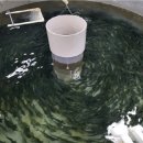 강원도내수면자원센터 이미지