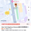 뉴욕카피 이미지