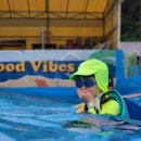 로만바스 이미지