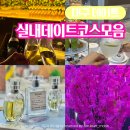 지엔동물병원 | 대구 이색 실내 데이트 비오는날 가볼만한곳 5곳 모음 추천