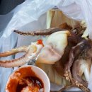 제주목화 이미지