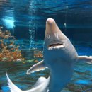 나라(214) 이미지