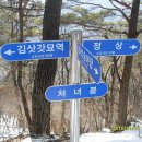 김삿갓면-45 Daum카페
