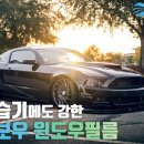 레인보우광택 이미지