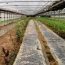 병암농장 이미지