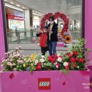 러빙유코리아 이미지