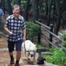 토리멍 이미지