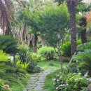 시청동로·시청서로 이미지