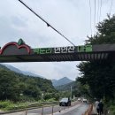 늘솔길펜션 | [8월 9일 실시간 후기] 물난리 피해 없는 가평 항아리계곡, 주차·위치·주의사항 총정리