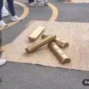 국화정원 이미지