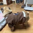 예일 세탁소 네이버블로그