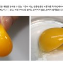 푸른들농장 이미지