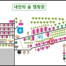 내안의숲 이미지