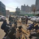 탑동초 이미지