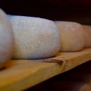 도량초등학교 이미지