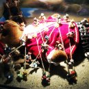 테지움사파리 이미지