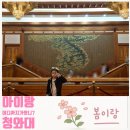 추억속의 이야기 | 청와대방문, 추억 속 감동후기 (25년 05월후기)