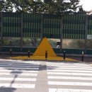 옐로카펫 이미지