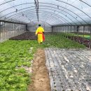 별산농장 이미지