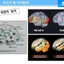 용유중학교 이미지