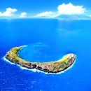 바다위에정원 이미지