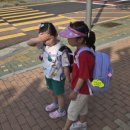 도은세일 이미지