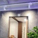 황금송아지 이미지