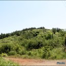 표선면-11 이미지