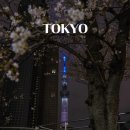 골든스카이인터내셔널리조트 | 도쿄 스카이트리 전망대 야경 예약 입장료 도쿄 여행 가볼만한곳