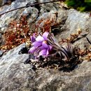 문산1리 이미지