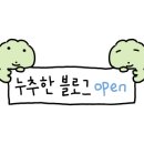 파충류샵 스마일게코 이미지