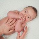 사파동261 이미지