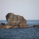 (주)그린크루즈 Daum카페