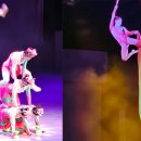 제주아트 서커스 이미지