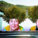 동백나무집 이미지