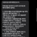 도담도담 고양이 호텔 네이버블로그