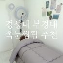 경성대 속눈썹펌 나미 [아이루다] : 이나원장님 내돈내산 재방문 후기