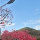 우곡보건지소 이미지