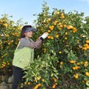 김찬우농장 이미지